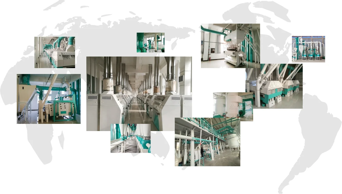 VOSON global cooperation