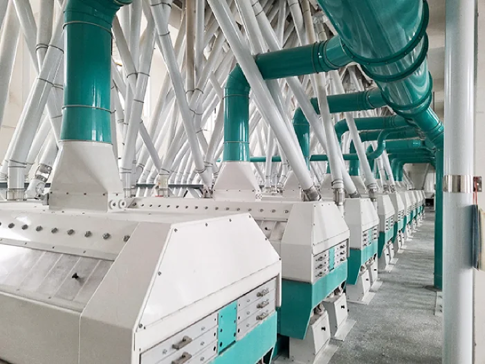 Installed processing line
