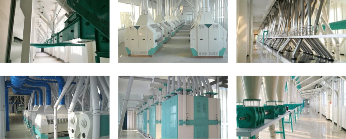 Customizable wheat milling plant designs