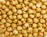 Buckwheat