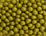Mung beans