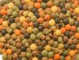 Lentils