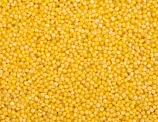 Millet