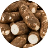 Fresh cassava