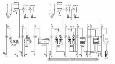 Lentil processing plant