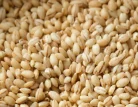 Oats