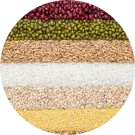 Grain