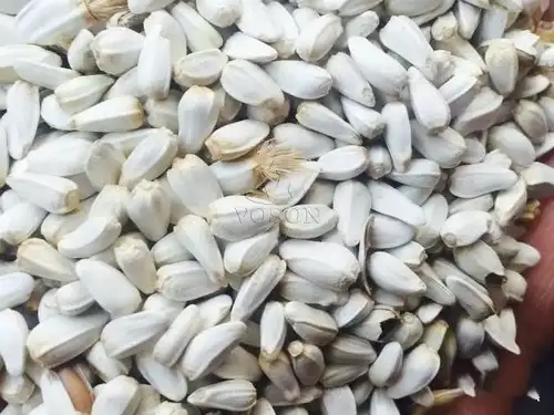 Final cottonseed
