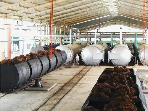 Palm oil production line with sterilization